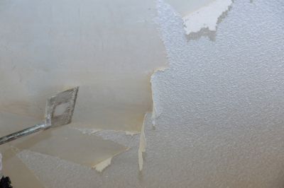 Popcorn Ceiling Repair detail